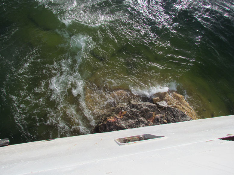 vaya almendrita que se comio el capi